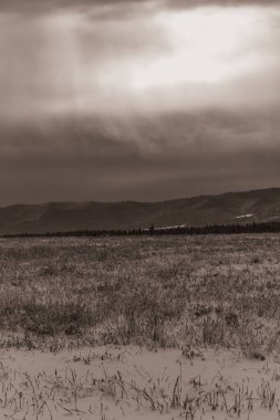 Ormanda güzel bir gün batımı