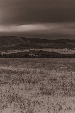 Arkasında bulutlu bir gökyüzü olan güzel bir tarlanın gri tonlu görüntüsü.