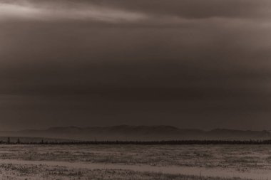 Ağacı ve gölü olan güzel bir manzara.