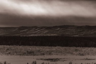 Karda ağaçlar olan güzel bir manzara.