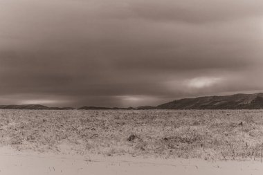 Landscapes, Forest, Carpathians, Photos of nature -Black and white photos, monochrome photos - Europe, Eastern Europe