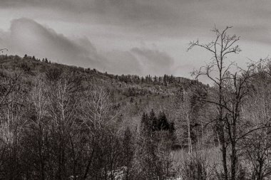 Nehir ve gölü olan güzel bir manzara.