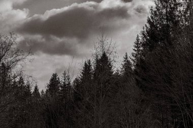 Doğanın güzel manzarası