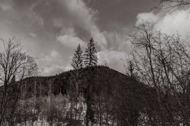 Dağların güzel manzarası