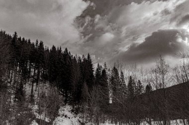 Siyah ve beyaz kış manzarası. Dağlar ve ağaçlar karla kaplı.