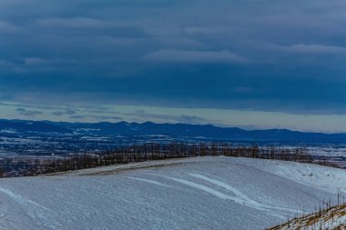 Karla kaplı ağaçlarla kaplı güzel kış manzarası