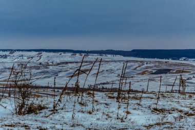 Kar ve ağaçlarla kaplı kış manzarası