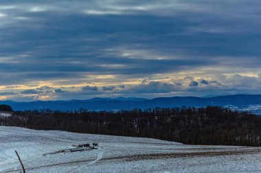 Karla kaplı ağaçlarla kaplı güzel kış manzarası