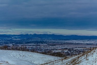 Karların altında ağaçlar ve dağlar olan bir tarlanın yüksek açılı görüntüsü.