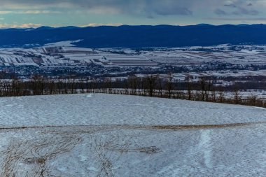 Arka planda karlı bir dağın güzel bir görüntüsü.