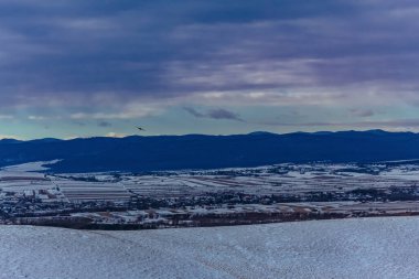 Karla kaplı ağaçlarla kaplı kış manzarası
