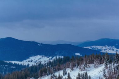 Karla kaplı ağaçlarla kaplı güzel kış manzarası