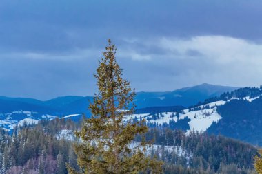 winter mountain landscape with snow and trees in forest.
