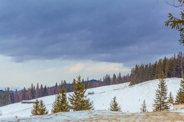 beautiful snowy winter landscape with pine trees and snow - covered hills