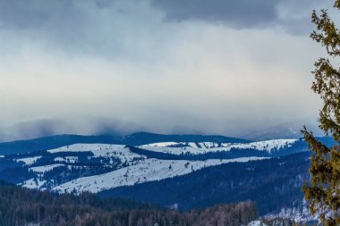 Karla kaplı ağaçlarla kaplı kış manzarası