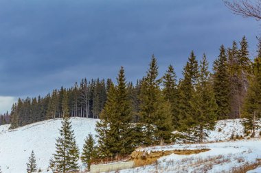 Kış dağı manzarası. Karpatlar. Ukrayna. İlk kar.