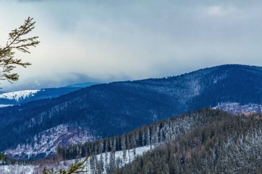 winter landscape with fir trees and mountains.