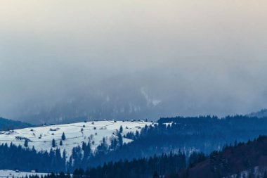 Orman Kış dağ manzarası kar ile kaplı