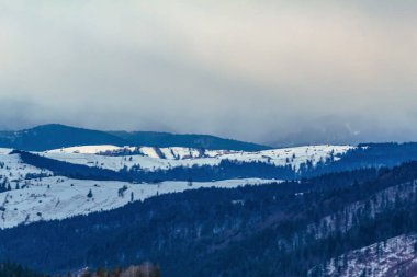 mountain landscape in winter with snow covered forest
