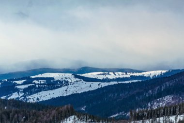Karla kaplı ağaçlarla kaplı güzel kış manzarası