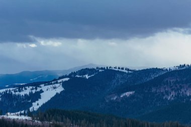Karla kaplı ağaçlarla kaplı güzel kış manzarası