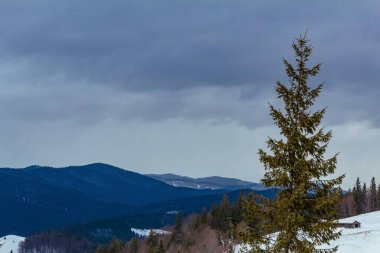 Karpat Dağları 'ndaki kış manzarası.