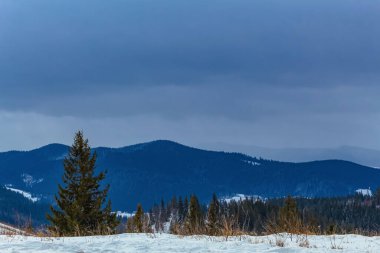 Karpatya dağlarında kış