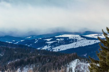 Karla kaplı ağaçlarla kaplı kış manzarası