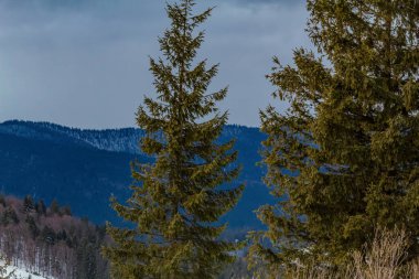 Karpat dağlarında bir dağla kış manzarası.
