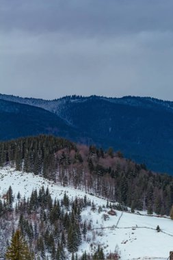 Karla kaplı dağ manzarası