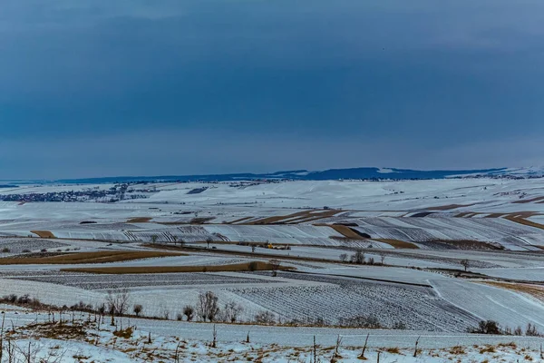 Karla kaplı ağaçlarla kaplı güzel kış manzarası