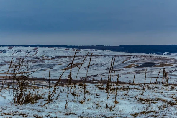 Kar ve ağaçlarla kaplı kış manzarası