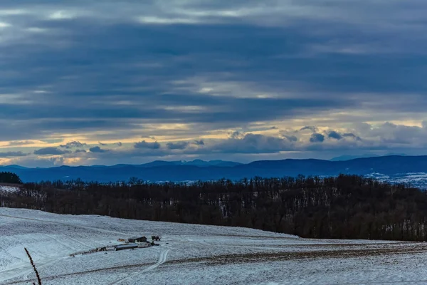 Karla kaplı ağaçlarla kaplı güzel kış manzarası