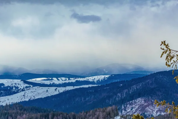Kar ve ağaçlarla kaplı kış manzarası