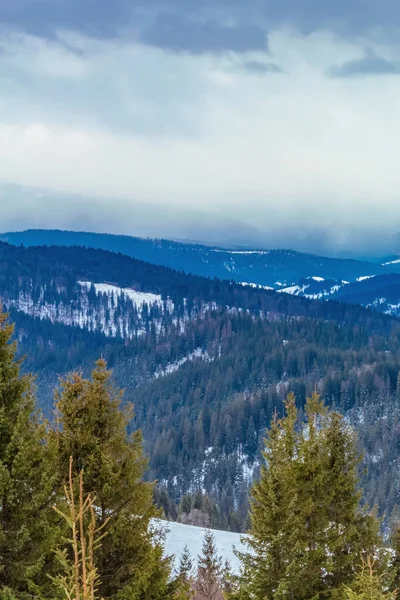 Arkasında bir dağ olan güzel bir manzara.