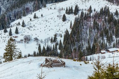 Karpatya dağlarında karlı dağları olan güzel kış manzarası, Ukrayna.