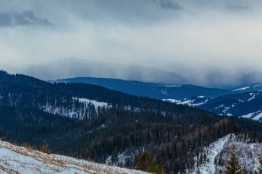 winter mountains in the carpathian mountains, ukraine, a beautiful winter landscape.