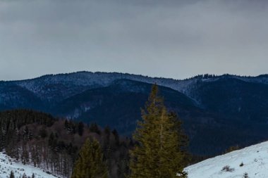 Karla kaplı ağaçlarla kaplı kış manzarası