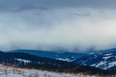 Karla kaplı ağaçlarla kaplı kış manzarası