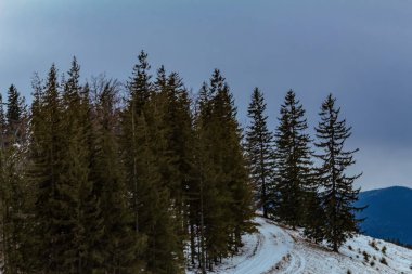 Peyzaj, Orman, Karpatlar, Doğa Fotoğrafları - Avrupa, Doğu Avrupa