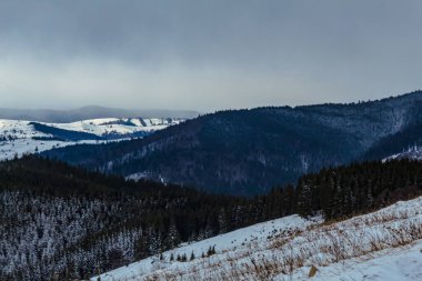 Karla kaplı ağaçlarla kaplı güzel kış manzarası