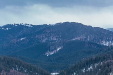 Çam ormanı ile kış dağ manzarası