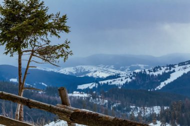 Karpatlar 'daki güzel dağ manzarası, Ukrayna