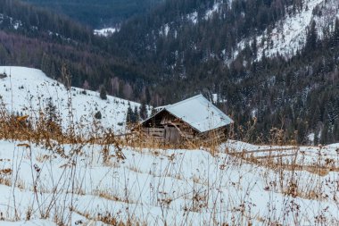 Karlı kış dağları, köknar ağaçları, dağlar, orman