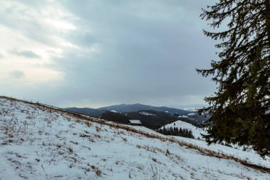 Kar yağışlı kış manzarası