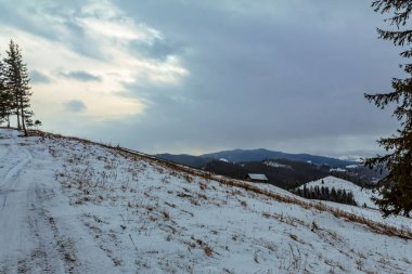 Karla kaplı ağaçlarla kaplı kış manzarası