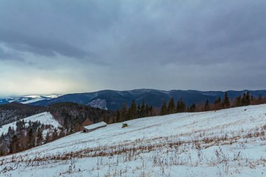 the winter landscape of carpathian mountains, ukraine, europe