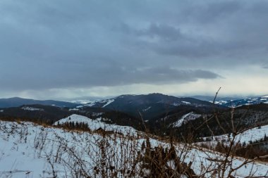 Karla kaplı ağaçlarla kaplı kış manzarası