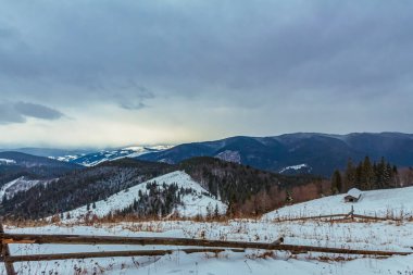 Karla kaplı ağaçlarla kaplı güzel kış manzarası