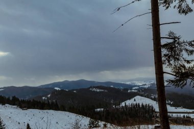 Karpat Dağları'nın kış manzarası.